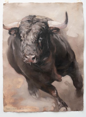 Light & Dust 5   S (Small)