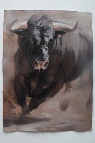 Light & Dust 9 (study 