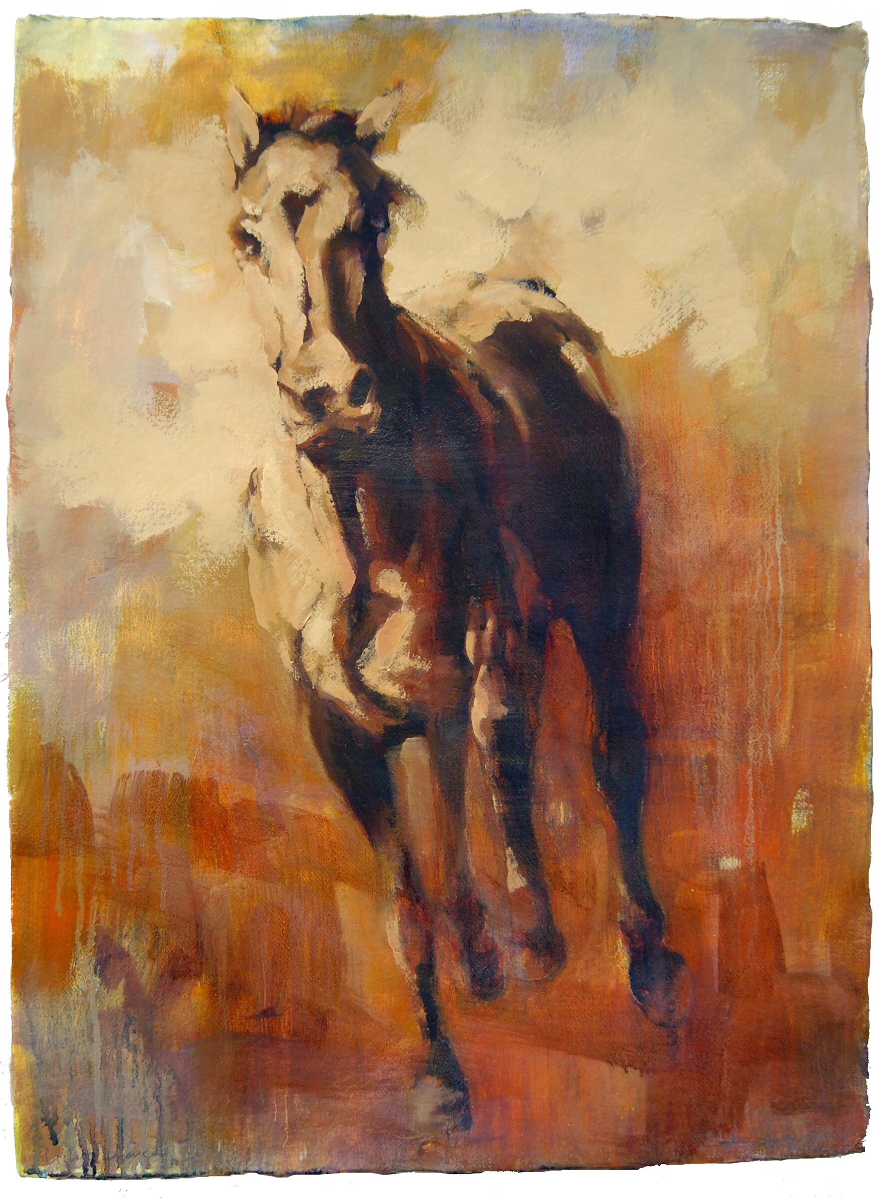 Light Charger    LARGE