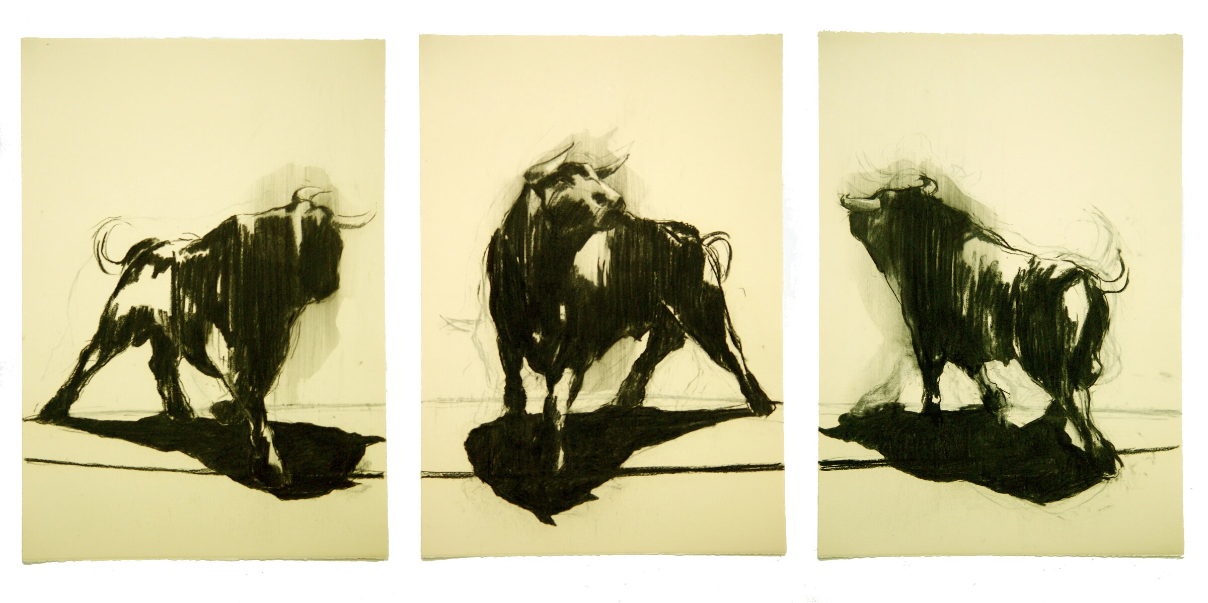 SECULORUM charocoal  7.5 MB